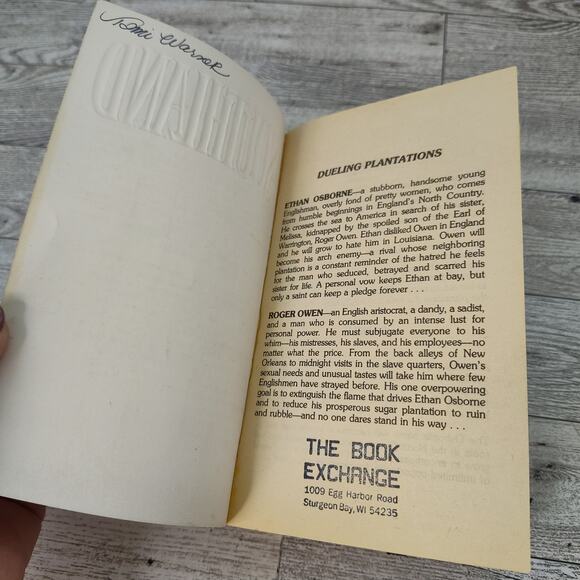 SOUTHLAND Amanda‎ Carlisle 1982 Pinnacle 1st Print Paperback Historical Fiction - Picture 2 of 11